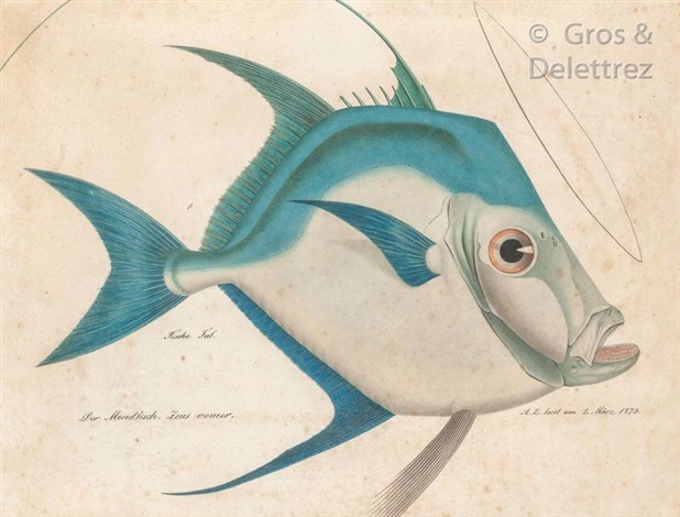 comment preparer le poisson saint pierre